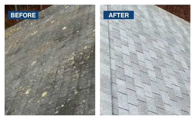 before and after roof wash 1